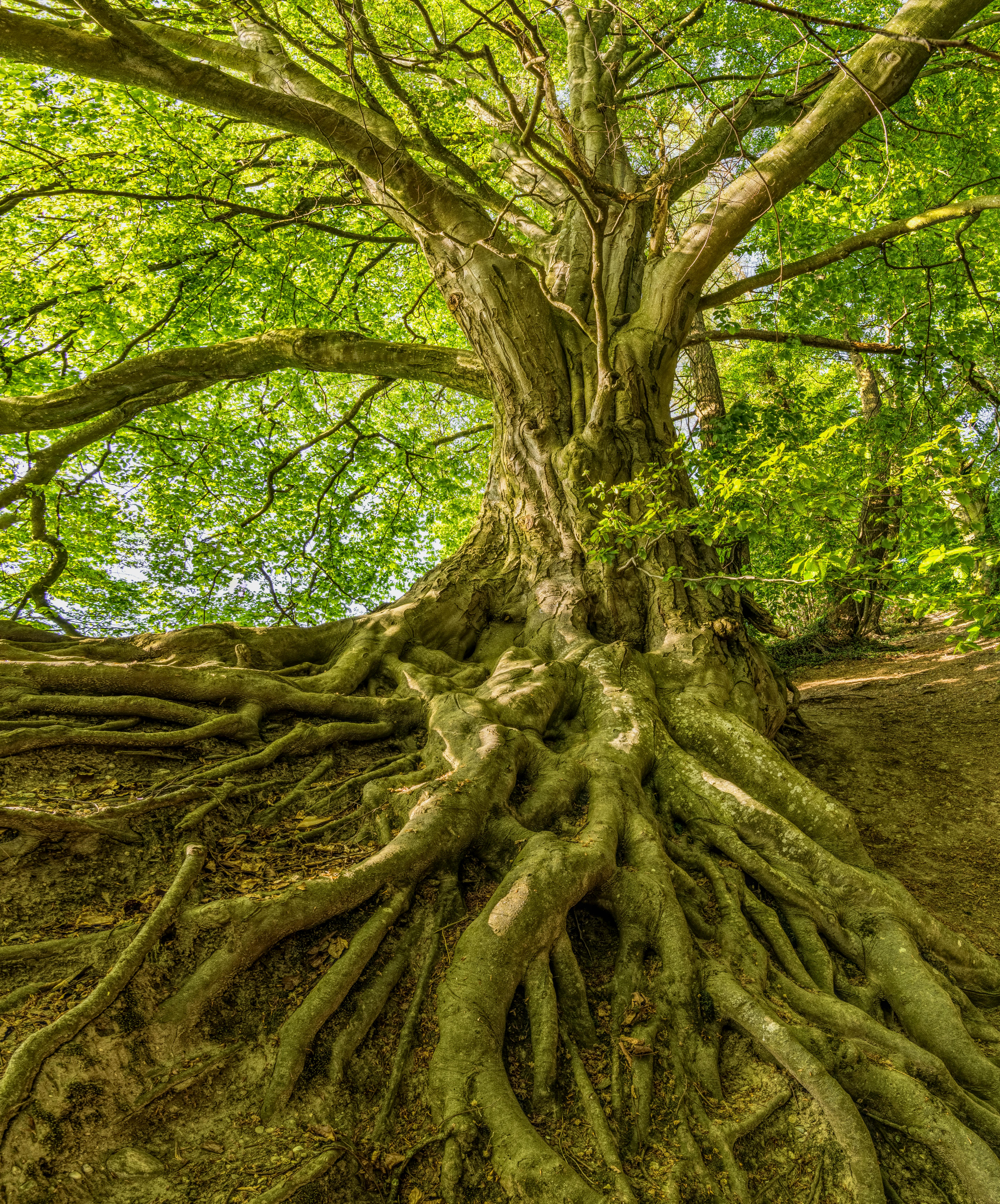Embracing Change: The Path to Progress and Personal Growth